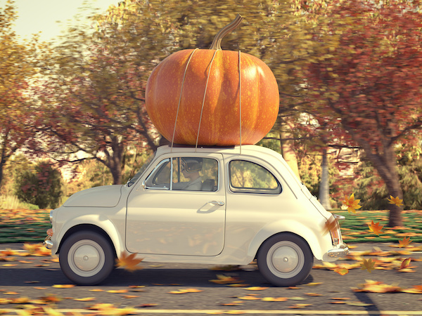 Vintage beetle car with a huge pumpkin tied on the top